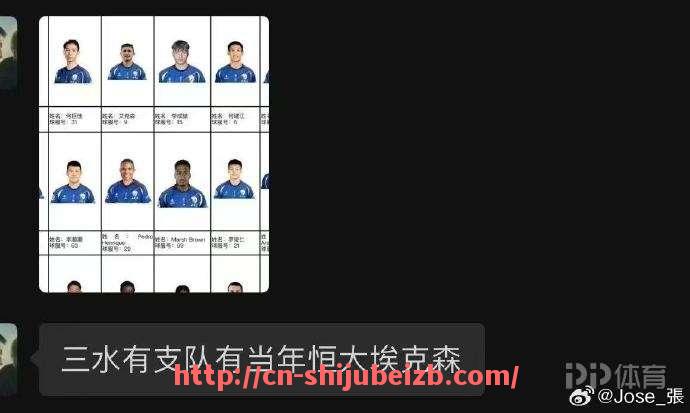 世俱杯直播-德甲球队缩写通常代表哪些含义，这些缩写如何使用和传播？（德甲球队英文）