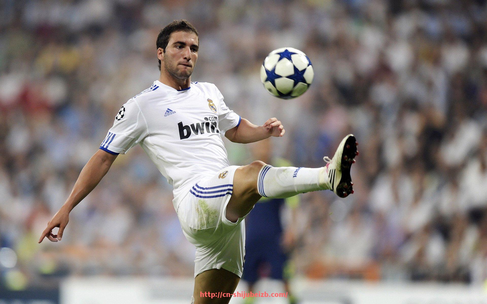 世俱杯直播-奥克兰城世俱杯直播专区推荐及赛事观赛指南